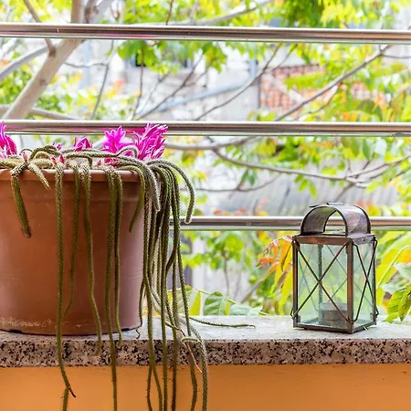 Center & Apartment *